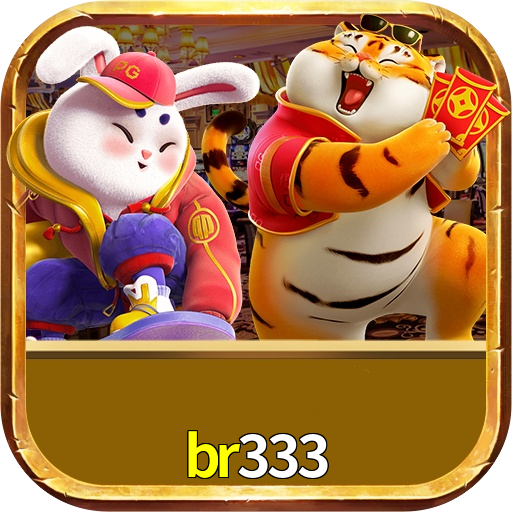 br333
